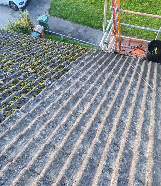 Roof Cleaning Fleet